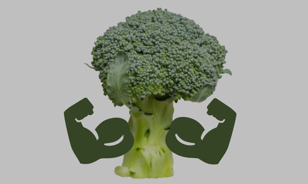 Veganer Muskelaufbau ist nicht einfach aber möglich