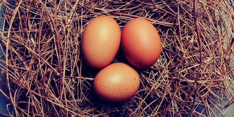 Eier - eine großartige aber nicht die einzige gute Eiweißquelle für genug Proteine beim Muskelaufbau