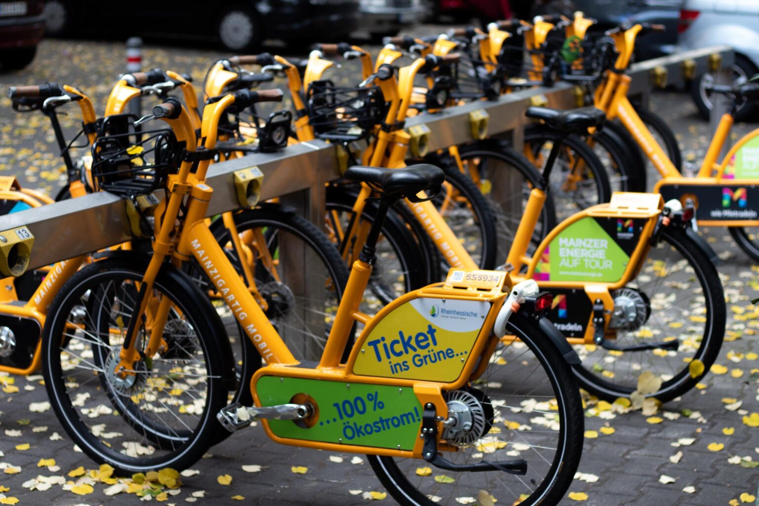 Radfahren In Der Stadt Welches Verhalten Ist Richtig Ein Umfassender Leitfadenfeed