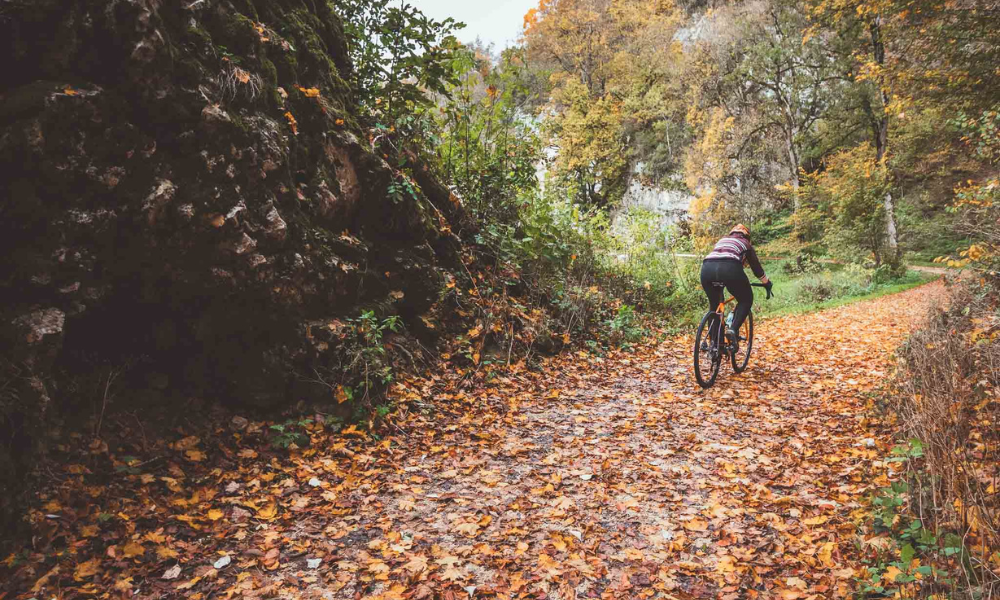 Radfahren im Herbst – Sicher durch die bunte Jahreszeit