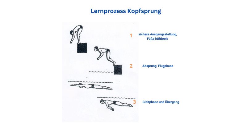 Das Bild zeigt drei schwarze Zeichnungen eines männlichen Schwimmers in unterschiedlichen Phasen des Lernprozesses zur Erlernung des Kopfsprungs der zu den wichtigen Techniken der Starts und Wenden im Schwimmen gehört.